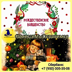 ПОДАРИТЕ РАДОСТЬ НА РОЖДЕСТВО!